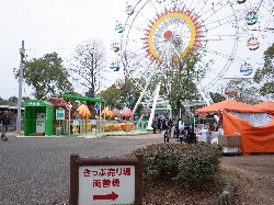 熊本市動植物園の観覧車